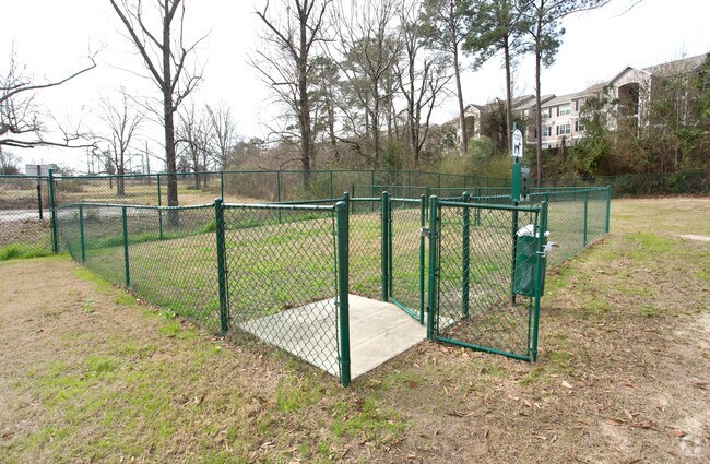 Parque para perros - The Hill College Living