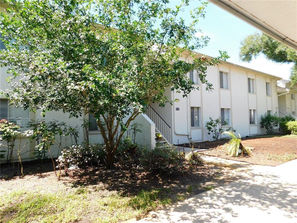 105 Palmetto Ct, Oldsmar, FL 34677 Condo for Rent in Oldsmar, FL