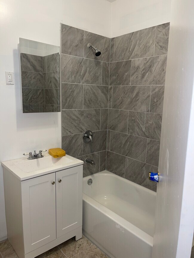 Baño - 245 Mount Prospect Ave
