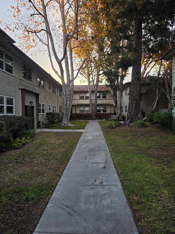 Building Photo - 3602 Kalsman Dr