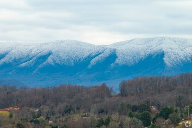 Kingsport maintains more than 100 miles of trails and nearly 40 parks and recreational hubs.