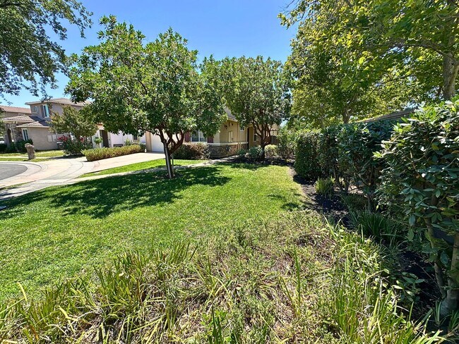 Foto del edificio - Stunning 4 Bedroom, 3 Bath Questa Home