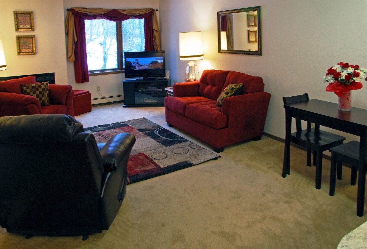 Living Room, Fully Furnished - 315 E 12th Ave