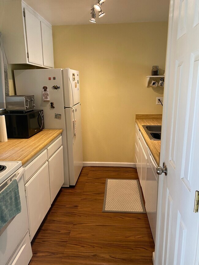 Kitchen view from entry hallway - 1700 Glenbrook Dr