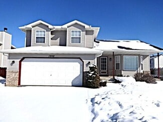 Building Photo - 1648 Quinn Dr