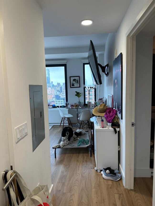 145 Clinton St Unit 14E, New York, NY 10002 Room for Rent in New York