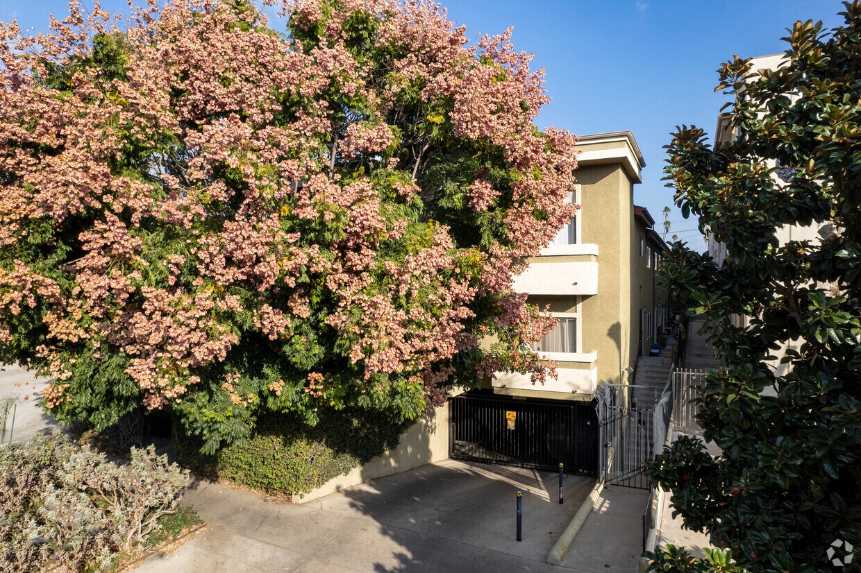 1554 N Hobart Blvd. - 1554 N Hobart Blvd