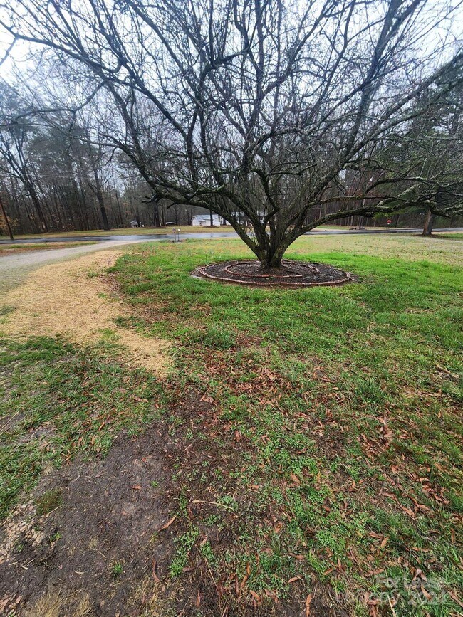 Foto del edificio - 4244 Sunrise Dr