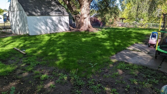 backyard - 3771 Orchard Ave
