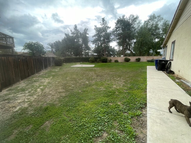 Foto del edificio - 11598 countryrise Ln