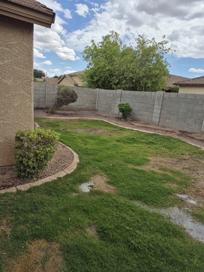 Backyard - 1725 W Matthews Dr