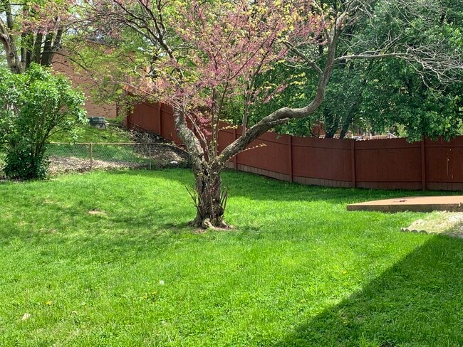 Fenced Backyard - 5608 Sky Hill Dr