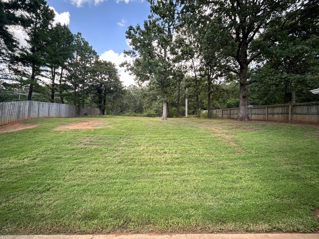 Backyard - 8709 Canopy Oaks Dr