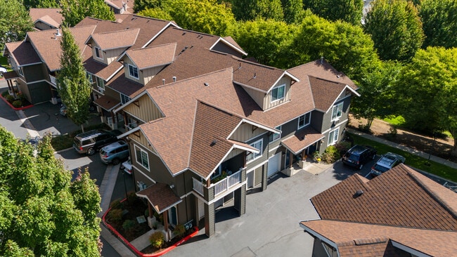 View from Above - 10800 SE 17th Cir