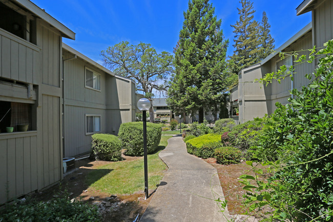 Building Photo - Silver Oaks Apartments