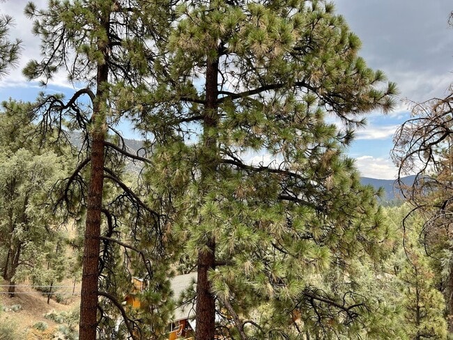 Building Photo - Cozy 3-Bed 2-Bath Cabin-Style Home Nestled...
