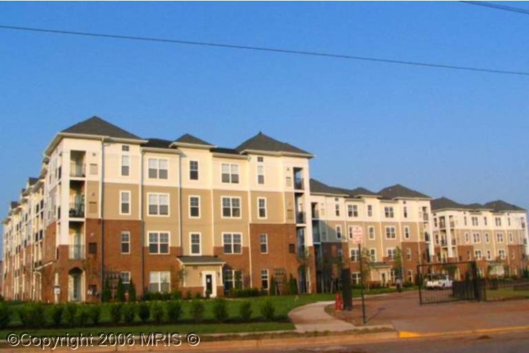 Foto principal - 3810 Lightfoot St