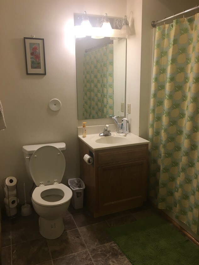 Bathroom - 313 S Gilbert St