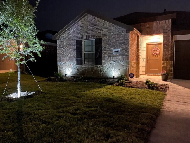 Building Photo - 4 Bedroom Single Family Home in Forney