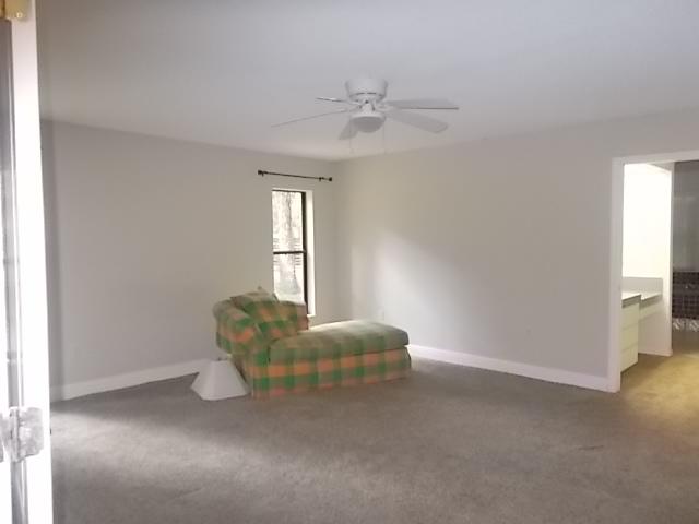 Foto del edificio - 2465 Culbreath Rd