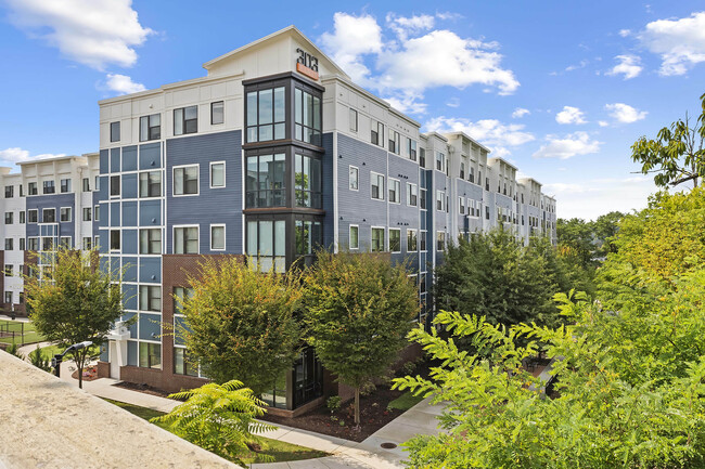 303 Flats - 303 Flats Apartments