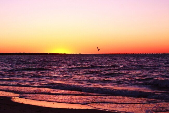 Foto del edificio - Cozy Beach Cottage Available 08-23-24! Pra...