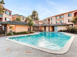 Building Photo - Peninsula Pines Apartments