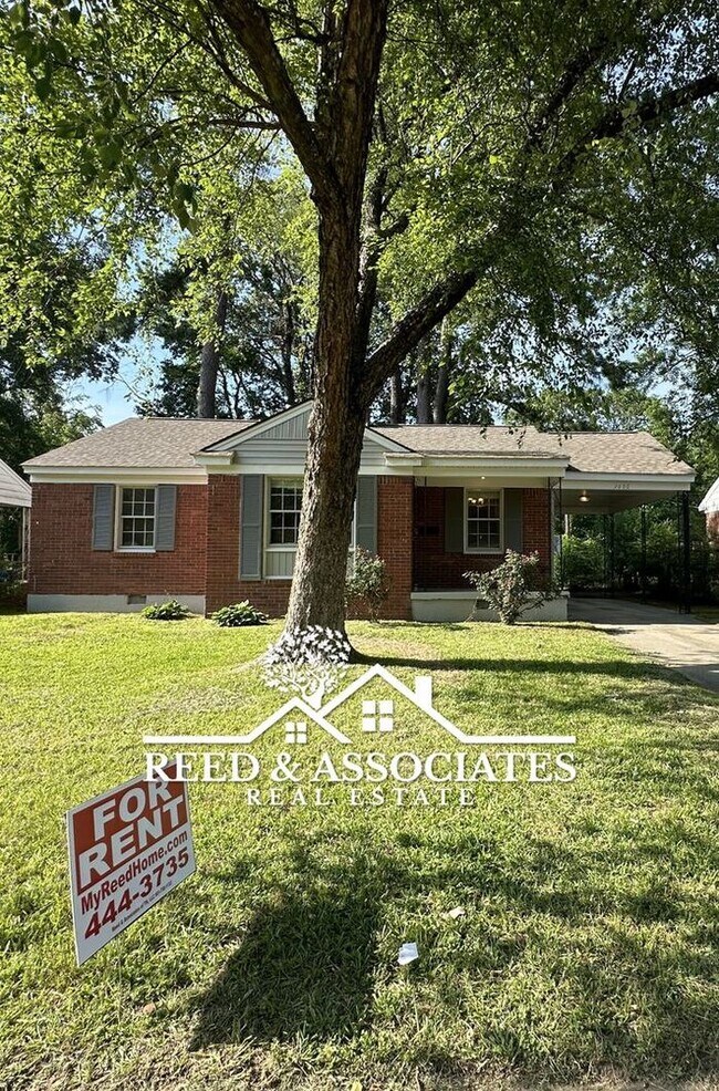 Building Photo - 3BR - SHERWOOD -FOREST AREA