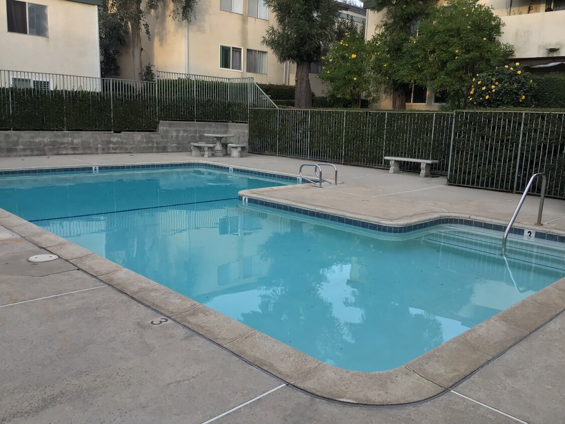 Sparkling pool - 10636 Woodley Ave