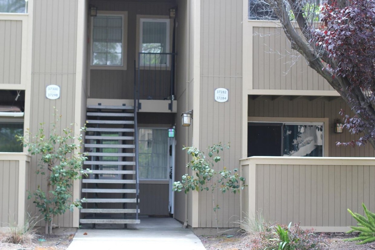 37284 Spruce Terrace, Fremont, CA 94536 Condo for Rent in Fremont, CA
