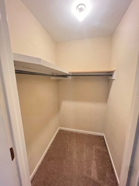 Foto del edificio - 562 Woodland Hills Pl