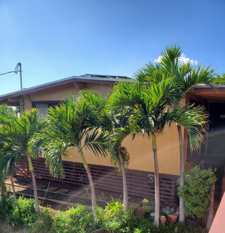 92526526 Akaula St, Kapolei, HI 96707 Room for Rent in Kapolei, HI