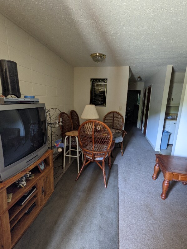 216 Wendell Scott Dr Unit 9, Danville, VA 24540 Condo for Rent in