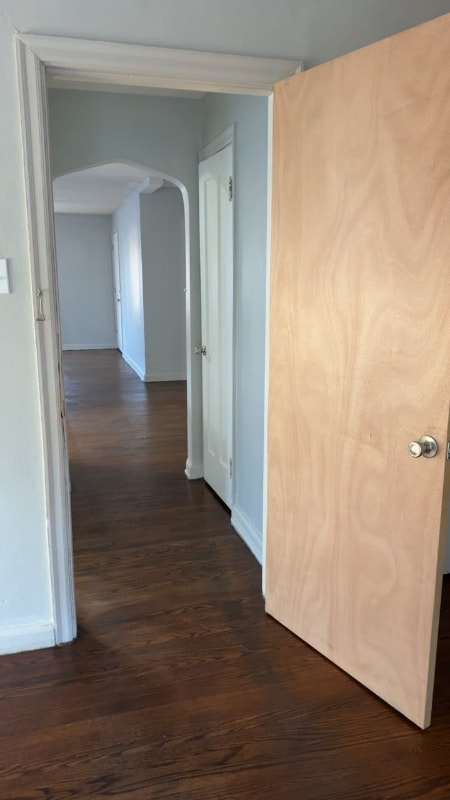 Foto del edificio - 3123 Bracken Woods Ln