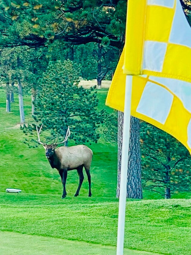 Primary Photo - 2338 Hearth Dr