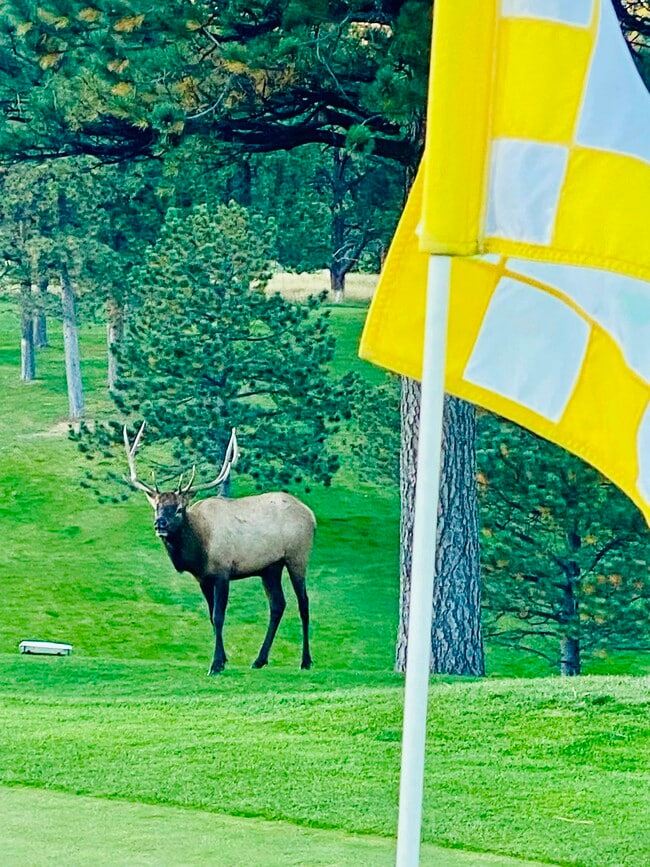 Photo - 2338 Hearth Dr Townhome