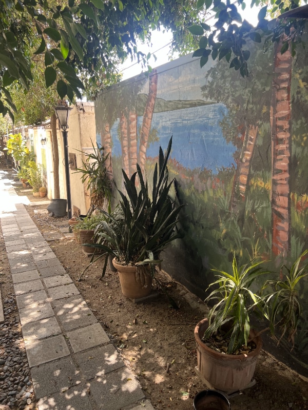 Foto del edificio - 333 N Sycamore Ave