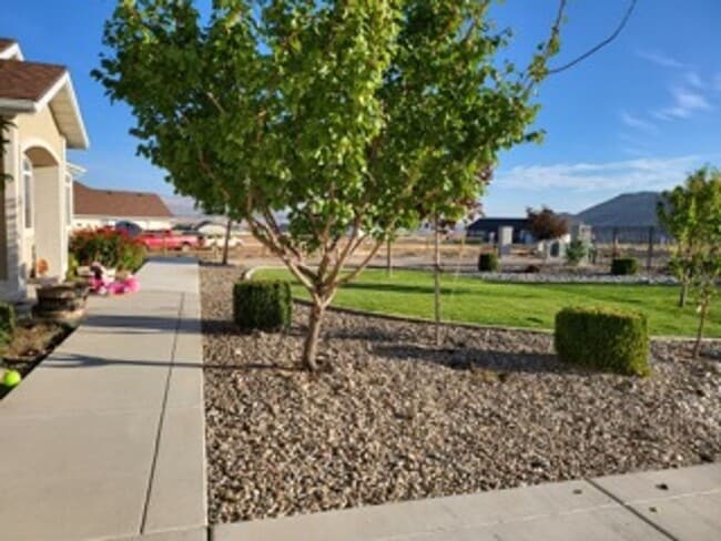 Building Photo - Executive Home In Elko