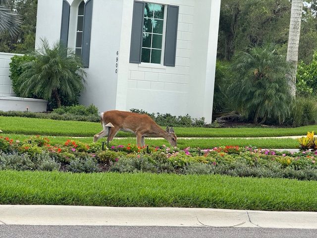 Foto del edificio - 6212 Dry Tortugas Dr