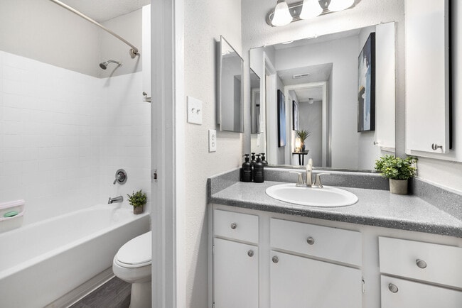 Building Photo - Solace Apartment Homes