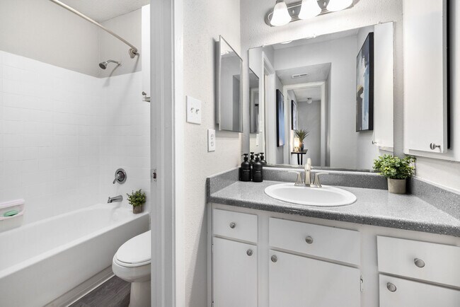 Foto del edificio - Solace Apartment Homes