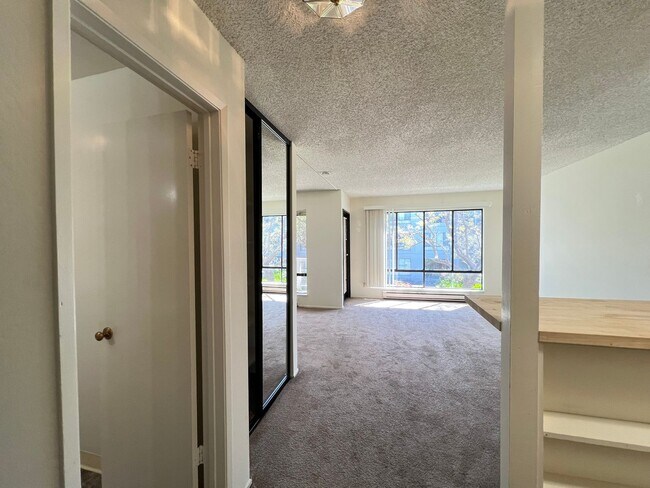 Building Photo - Studio Condo Available Now