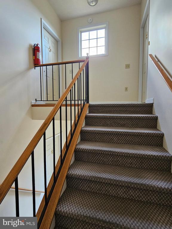 Foto del edificio - 1310 Ramseur Ln