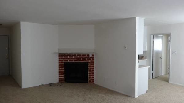 Fire Place - 12030 Rochester Ave