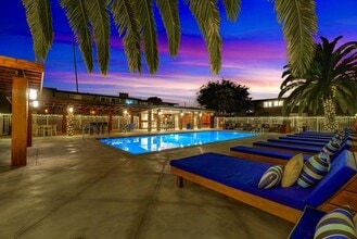 Palm View Village photo'