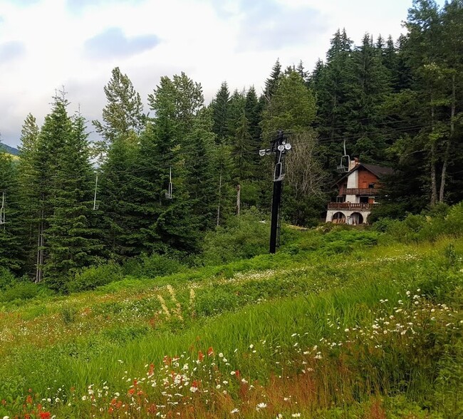 House in the summer. Ski chairlift in front of the house. - 1041 Snoqualmie Dr