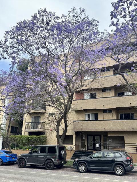 Foto del edificio - 8722 Burton Way