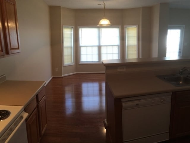 Foto del edificio - 2705 Red Ruby Ln