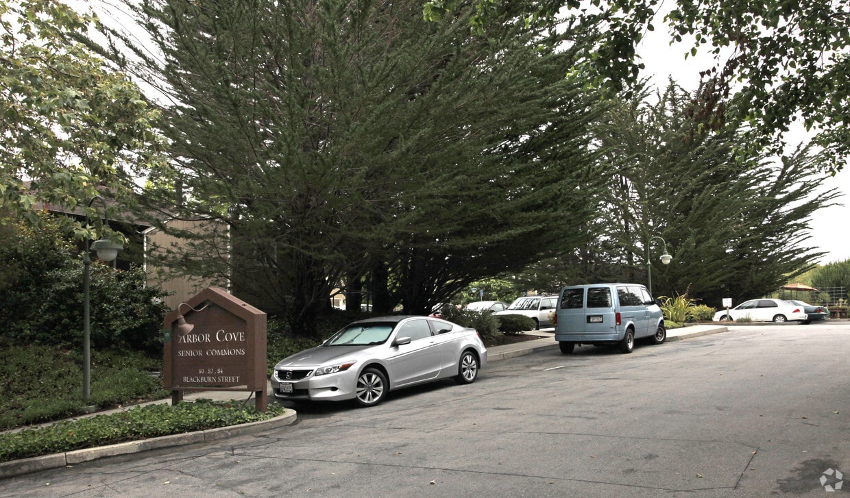Building Photo - Arbor Cove Senior Common