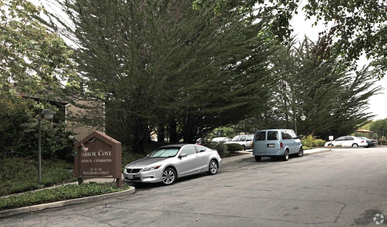 Foto del edificio - Arbor Cove Senior Common